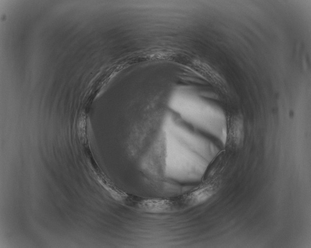 X0000082730526200702091841