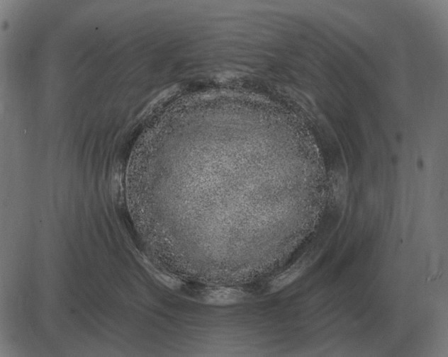 X0000082730527200702091841