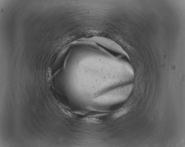 X0000082730528200702091841