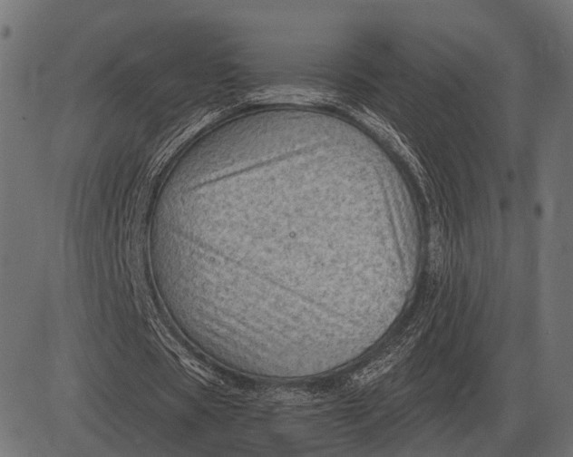 X0000082730529200702091840