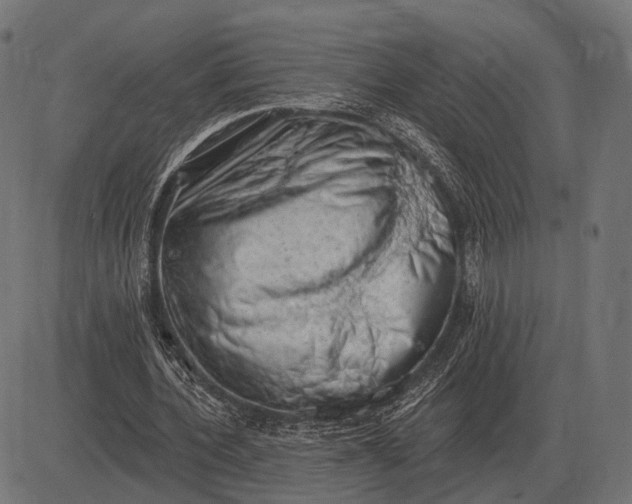 X0000082730532200702091840