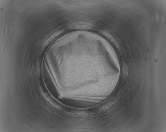 X0000082730533200702091840