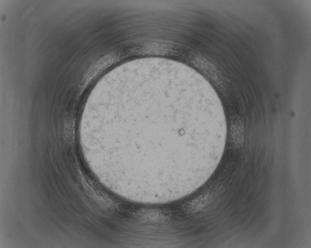 X0000082730534200702091840