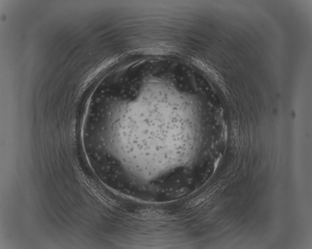 X0000082730535200702091840