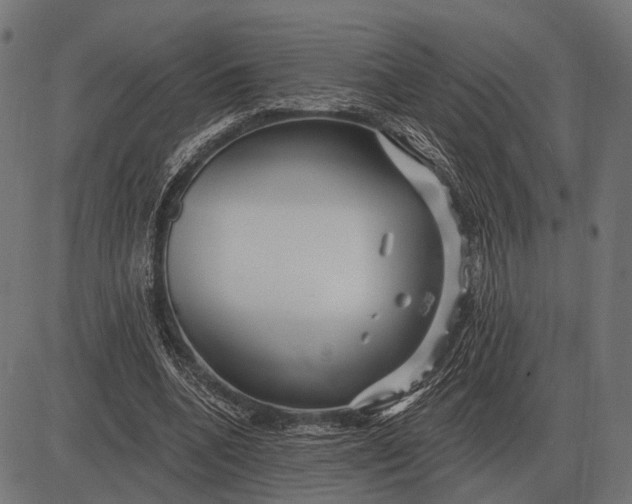 X0000082730536200702091840