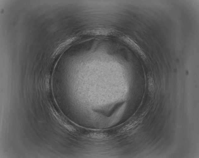 X0000082730537200702091840