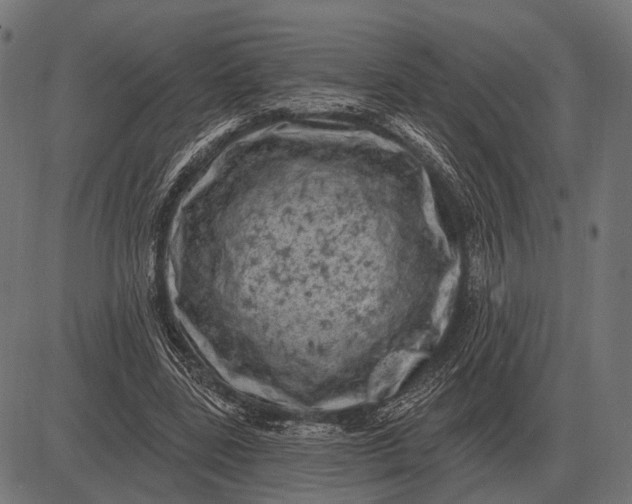 X0000082730539200702091840