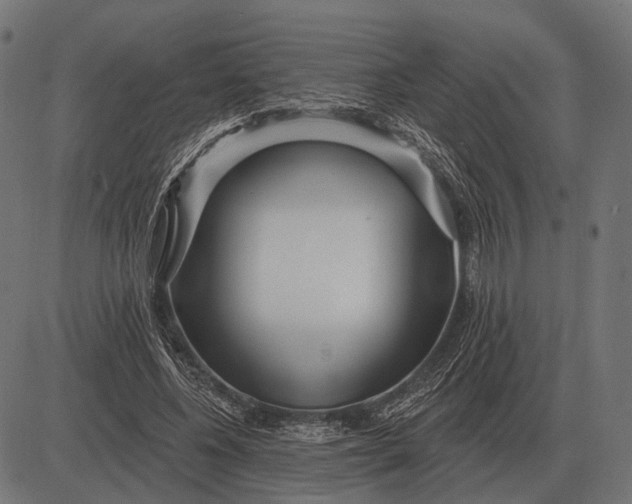 X0000082730540200702091840