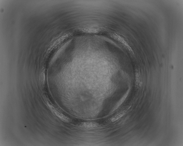 X0000082730541200702091840