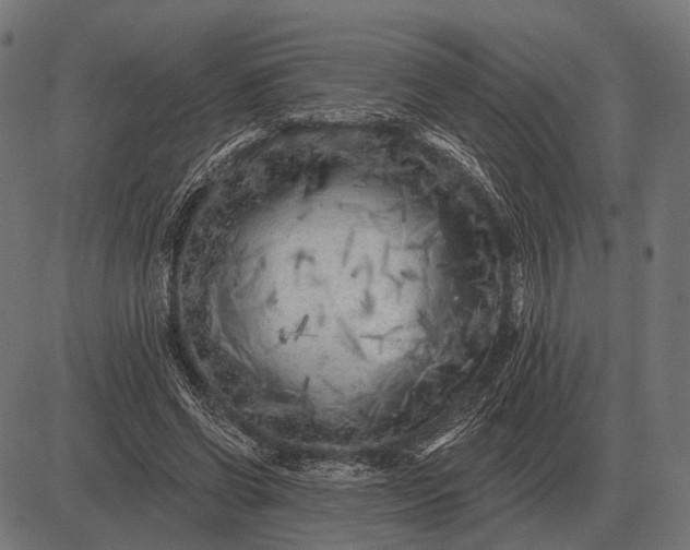 X0000082730542200702091840