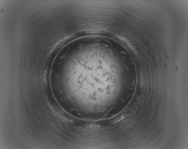 X0000082730543200702091840