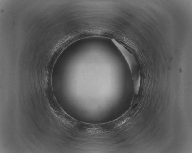 X0000082730544200702091840