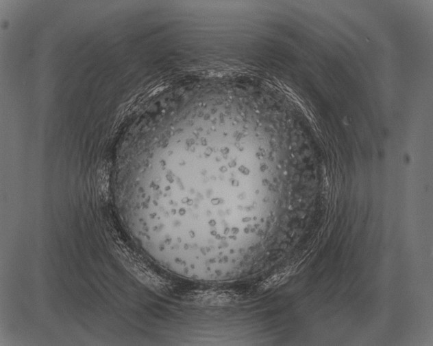 X0000082730545200702091840