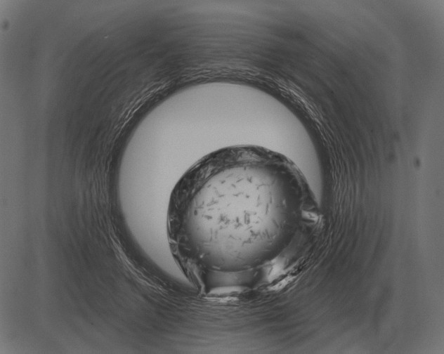 X0000082730546200702091840