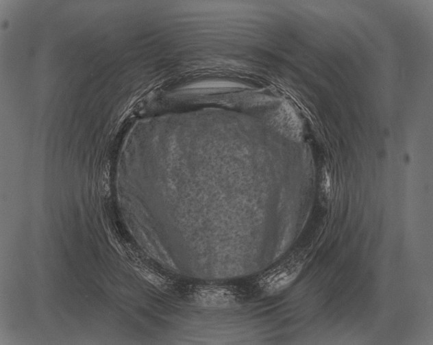 X0000082730547200702091840