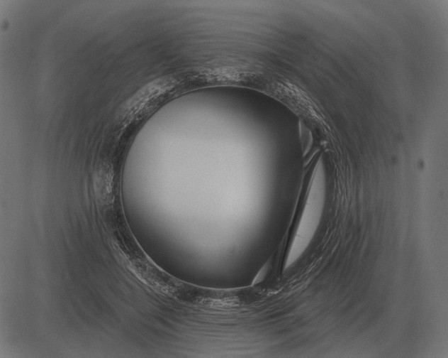 X0000082730548200702091840