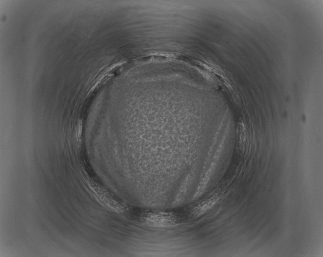 X0000082730550200702091840