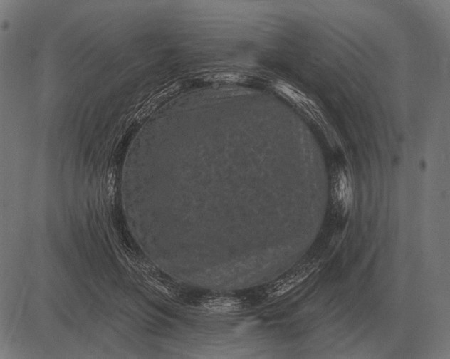 X0000082730551200702091840