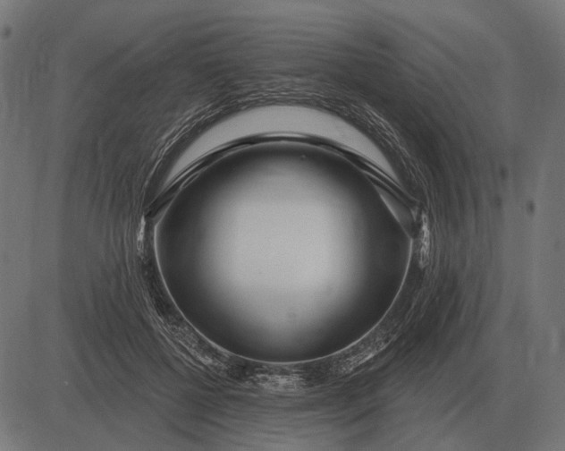 X0000082730552200702091840