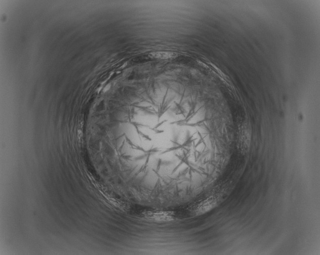 X0000082730553200702091840