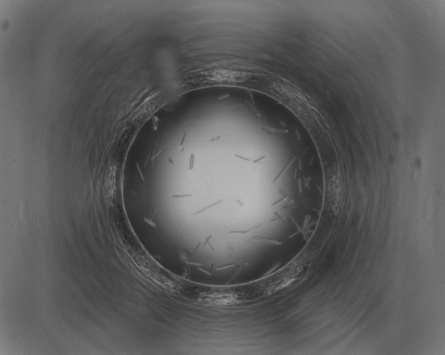 X0000082730554200702091840