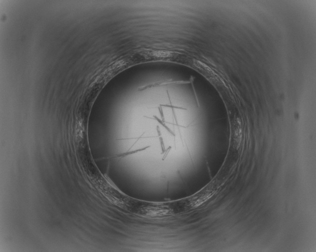 X0000082730555200702091840