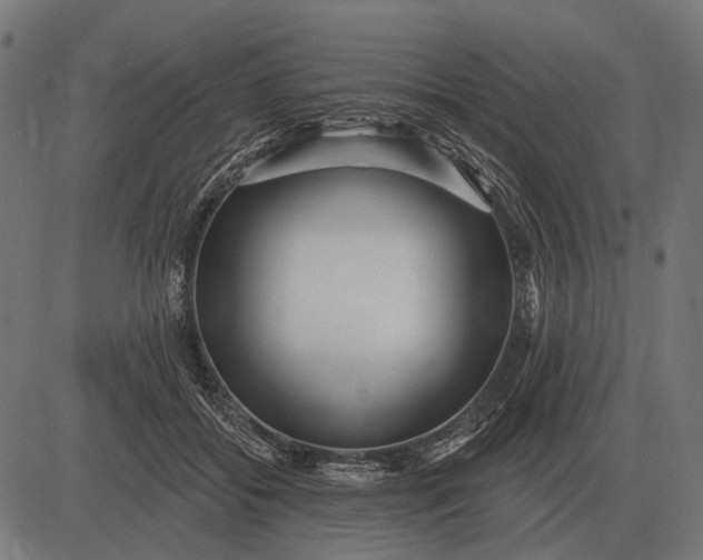 X0000082730556200702091840