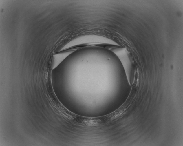 X0000082730558200702091840