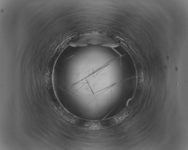 X0000082730559200702091840