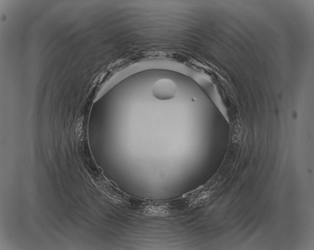 X0000082730560200702091840