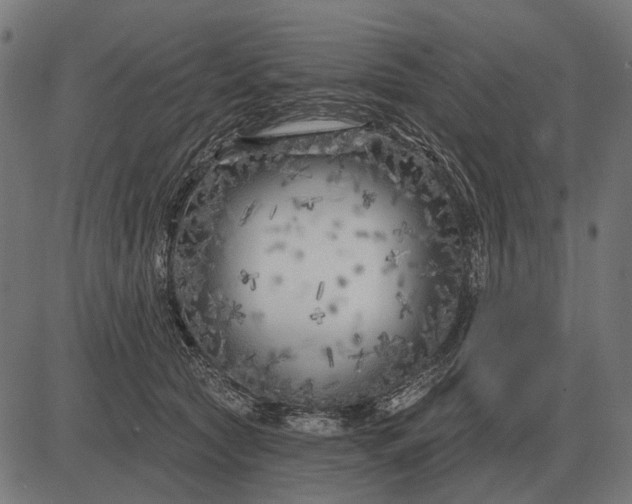 X0000082730561200702091840