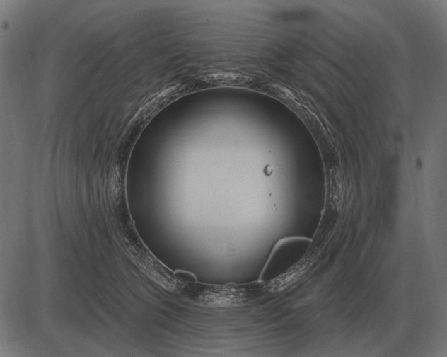 X0000082730563200702091840