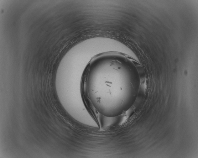 X0000082730564200702091840