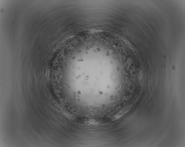 X0000082730565200702091840