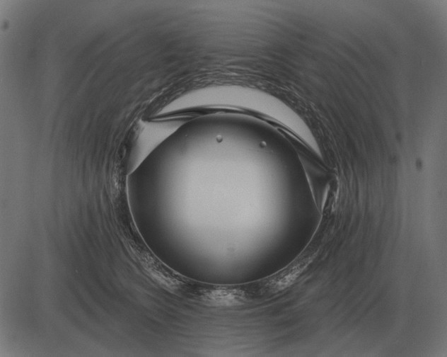 X0000082730566200702091840