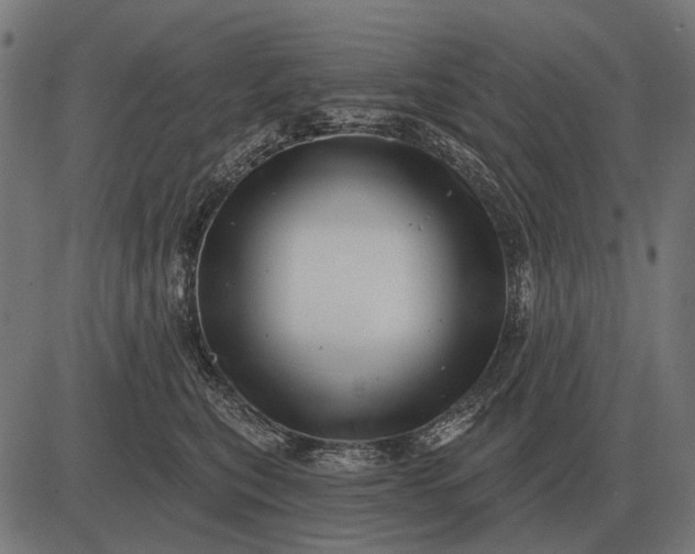 X0000082730567200702091840