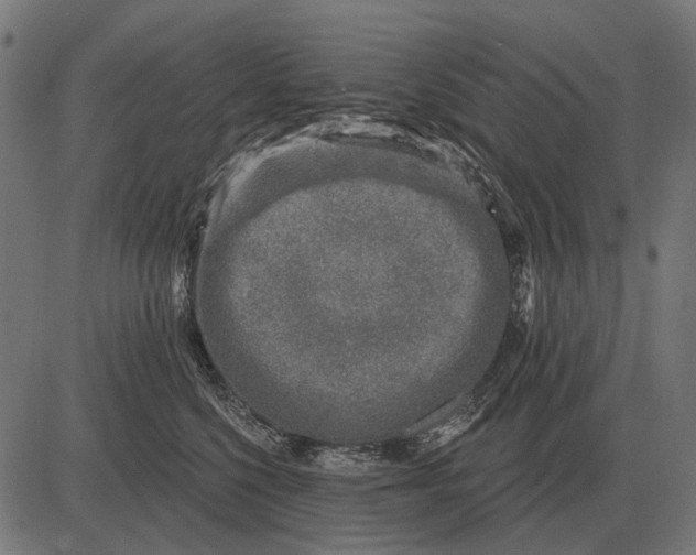 X0000082730568200702091840