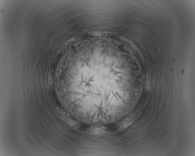 X0000082730569200702091840