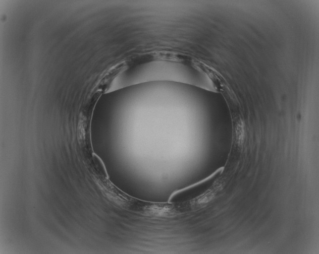 X0000082730570200702091840