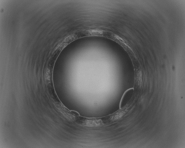 X0000082730571200702091840