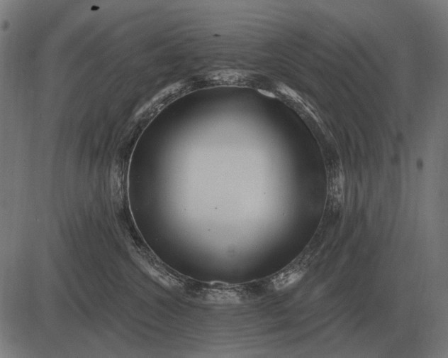 X0000082730572200702091840