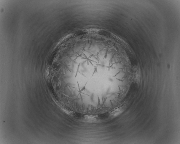 X0000082730573200702091841