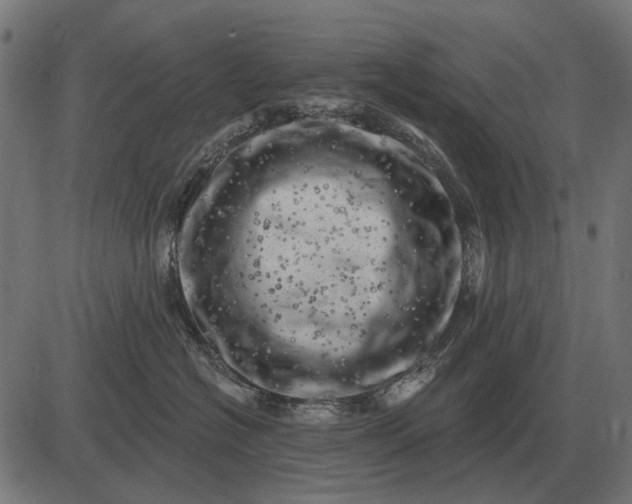 X0000082730574200702091841