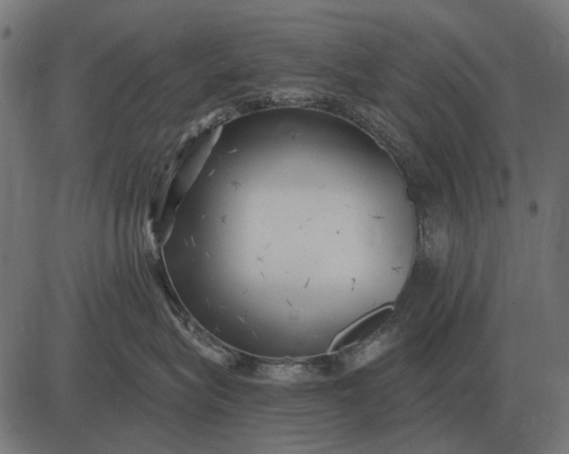 X0000082730575200702091841