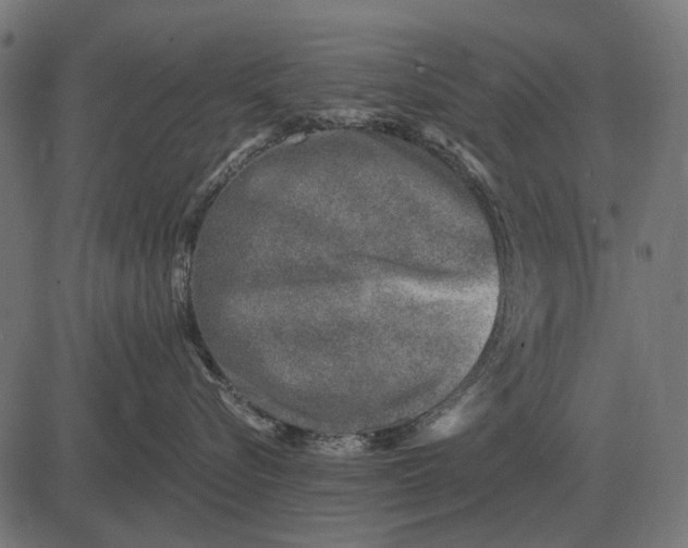 X0000082730576200702091841