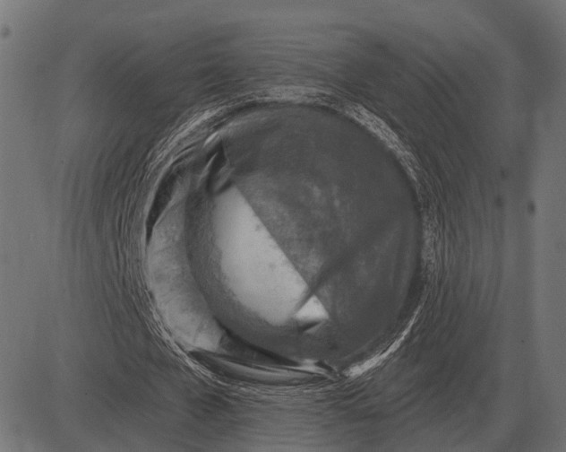 X0000082730577200702091840