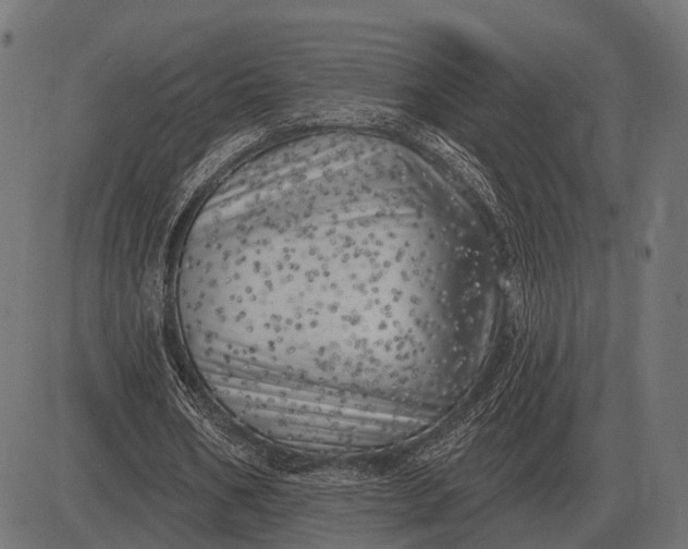 X0000082730578200702091840