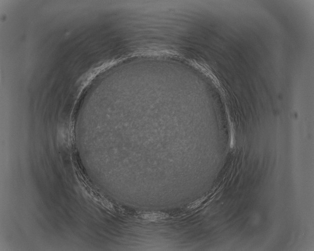 X0000082730579200702091840