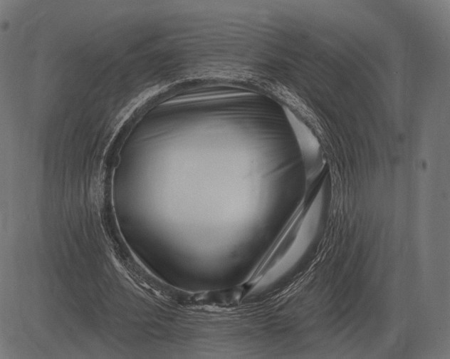 X0000082730580200702091840