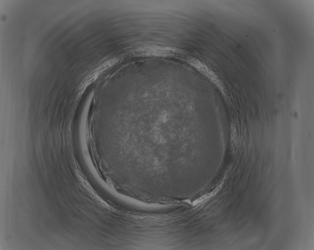 X0000082730581200702091840